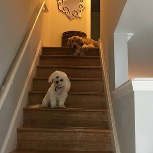 Meet your Posher, Aisha